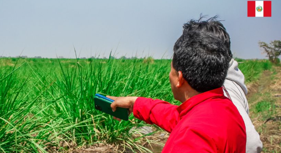 Ernesto Flores capacitando agricultores